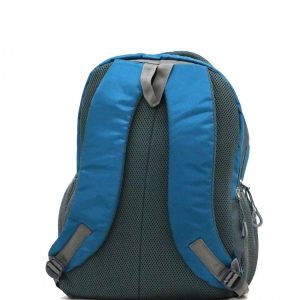 Trendy Laptop bag and Casual Backpack 22.5 L (Multi color)