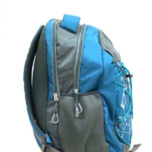 Trendy Laptop bag and Casual Backpack 22.5 L (Multi color)