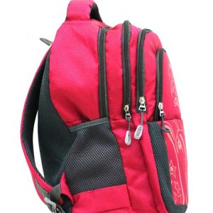 Trendy Laptop bag and Casual Backpack 22.5 L (Multi color) (SET OF 2)
