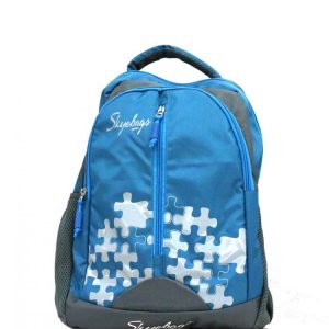 Trendy Laptop bag and Casual Backpack 22.5 L (Multi color)