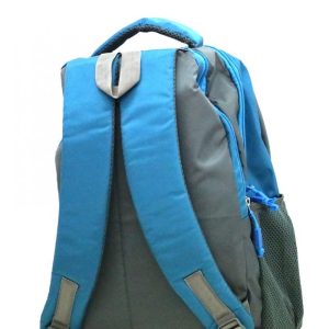 Trendy 20 inch Expandable Laptop Backpack (Multi color) (SET OF 2)