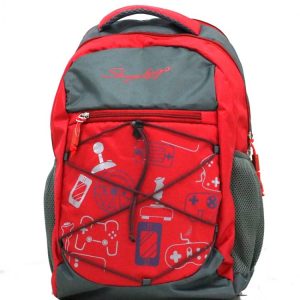 Trendy Laptop bag and Casual Backpack 22.5 L (Multi color)
