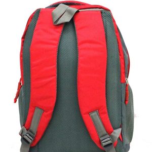 Trendy Laptop bag and Casual Backpack 22.5 L (Multi color) (SET OF 2)