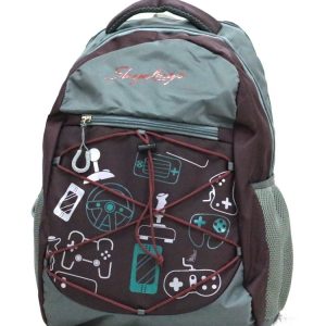 Trendy Laptop bag and Casual Backpack 22.5 L (Multi color)