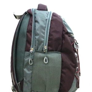 Trendy Laptop bag and Casual Backpack 22.5 L (Multi color)