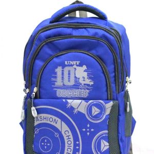 Trendy Laptop bag and Casual Backpack 22.5 L (Multi color)