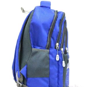 Trendy Laptop bag and Casual Backpack 22.5 L (Multi color)