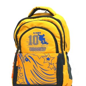 Trendy Laptop bag and Casual Backpack 22.5 L (Multi color)