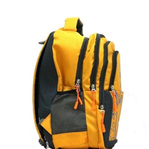 Trendy Laptop bag and Casual Backpack 22.5 L (Multi color)