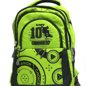 Trendy Laptop bag and Casual Backpack 22.5 L (Multi color)