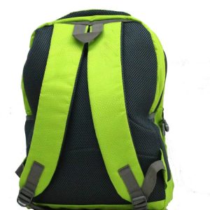 Trendy Laptop bag and Casual Backpack 22.5 L (Multi color)