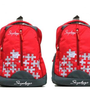 Trendy Laptop bag and Casual Backpack 22.5 L (Multi color) (SET OF 2)