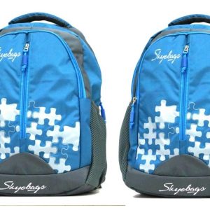 Trendy 20 inch Expandable Laptop Backpack (Multi color) (SET OF 2)