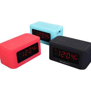 ZEBRONICS -PORTABLE BT SPEAKERS CLOSIC 2