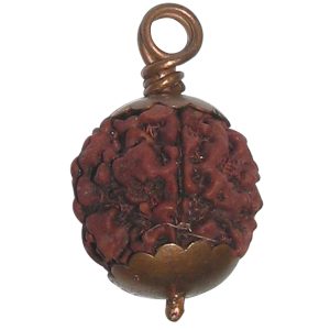 5 Mukhi Rudraksha (Five Face) Panch Mukhi Rudraksha Copper Pendant - A1009-C