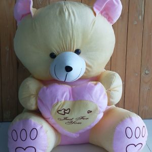 Teddy Bear 22inch (Multicolor)