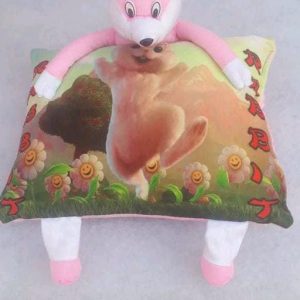Baby Velvet Pillow