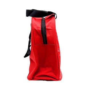 Lunch Bag for Office Men, Women and Kids, Leak Proof Water Resistant Polyester Made YOUNG Lunch Tiffin Bag for School, Picnic, Work, Carry Bag for Lunch Box Waterproof Lunch Bag (Red, 5 L)
