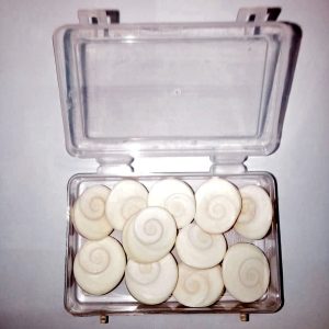 Sacred Gomathi Chakras Set of Eleven - S316567