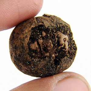 Original Natural Dry Rudraksha Fruit - S100606-01
