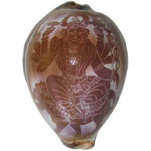 Goddess Durga Parvathi Sakthi Devi Art on Cowrie Kawdi Kaudi Kowdi Sea Shell - A1087