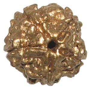 Rudraksha Swarna Varna 5 Mukhi Nepali Rudraksham Five Faced Rudraksha 100% Original - A4551