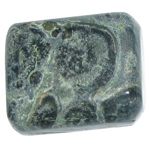 Kambaba Jasper Natural Healing Gemstone - A5226