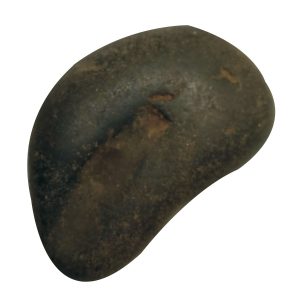 Aadhyathmik 100% Original Natural Sacred Laxmi Hayagreeva Lakshmi Hayagriva Shaligram Shila from Nepal Gandhaki Nadhi Salagram Shalagram 2 Inch 66g - S9067-27