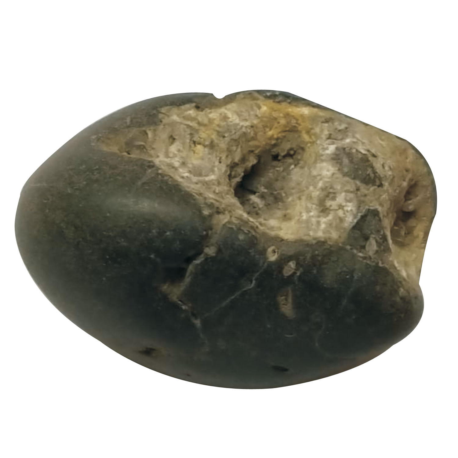 Aadhyathmik 100% Original Natural Sacred SitaRam Shaligram Shila from Nepal Gandhaki Nadhi Salagram Shalagram 1.75inch 52g - S9067-28