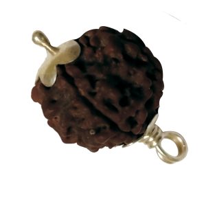 Aadhyathmik Abhimantrit 100% Natural Original Nepal Shan Mukhi Rudraksha 6 Face Sinks in Water Pendant in Silver - S910108-S