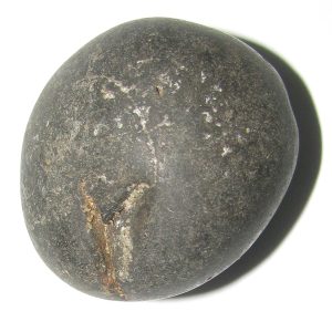 Aadhyathmik Kamakhya Shaligram Saligram Salagram Saligramam Shila from Gandhaki River 1 Inch 40 Grams - S9067-21