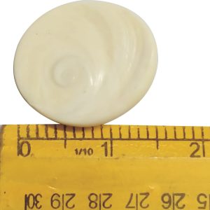 Aadhyathmik Mega Gomati Chakr Raja Gomathi Chakra 40mm - S916568RGC