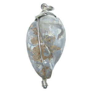 Aadhyathmik Natural Dakshinavarthi Hira Shankh Silver Pendant Heera Sankh Pahadi Shank 2 Inch - S953448