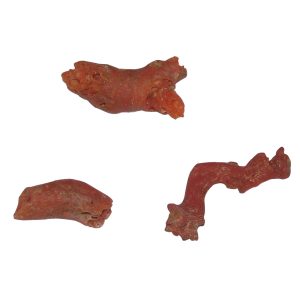 Aadhyathmik Natural Red Coral Moonga Pagadam Pavalam Praval Pavizham Havala Unpolished Gemstone Protects Women from Widowhood Manglik Dosh Nivaran 1 Piece - S945358