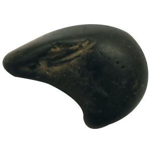 Aadhyathmik Natural Sacred Naga Shaligram Shila from Nepal Gandhaki Nadhi 1.5 Inch Salagram Shalagram - S9067-23