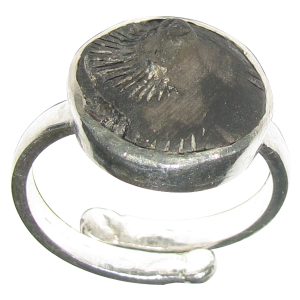 Aadhyathmik Shaligram Shila Silver Ring Saligram Sila Silver Ring Salagram Stone Silver Ring Saligramam Murti Of Gandaki River - S963889