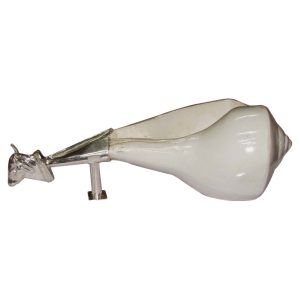 Aadhyathmik Valampuri Sangu Dakshinavarti Shankh with Gaumukhi Silver Bottom - S906708