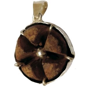 Adrindra Pushpam Raja Tantra Silver Pendant for RajaYoga Natural from Himalayas - S951438