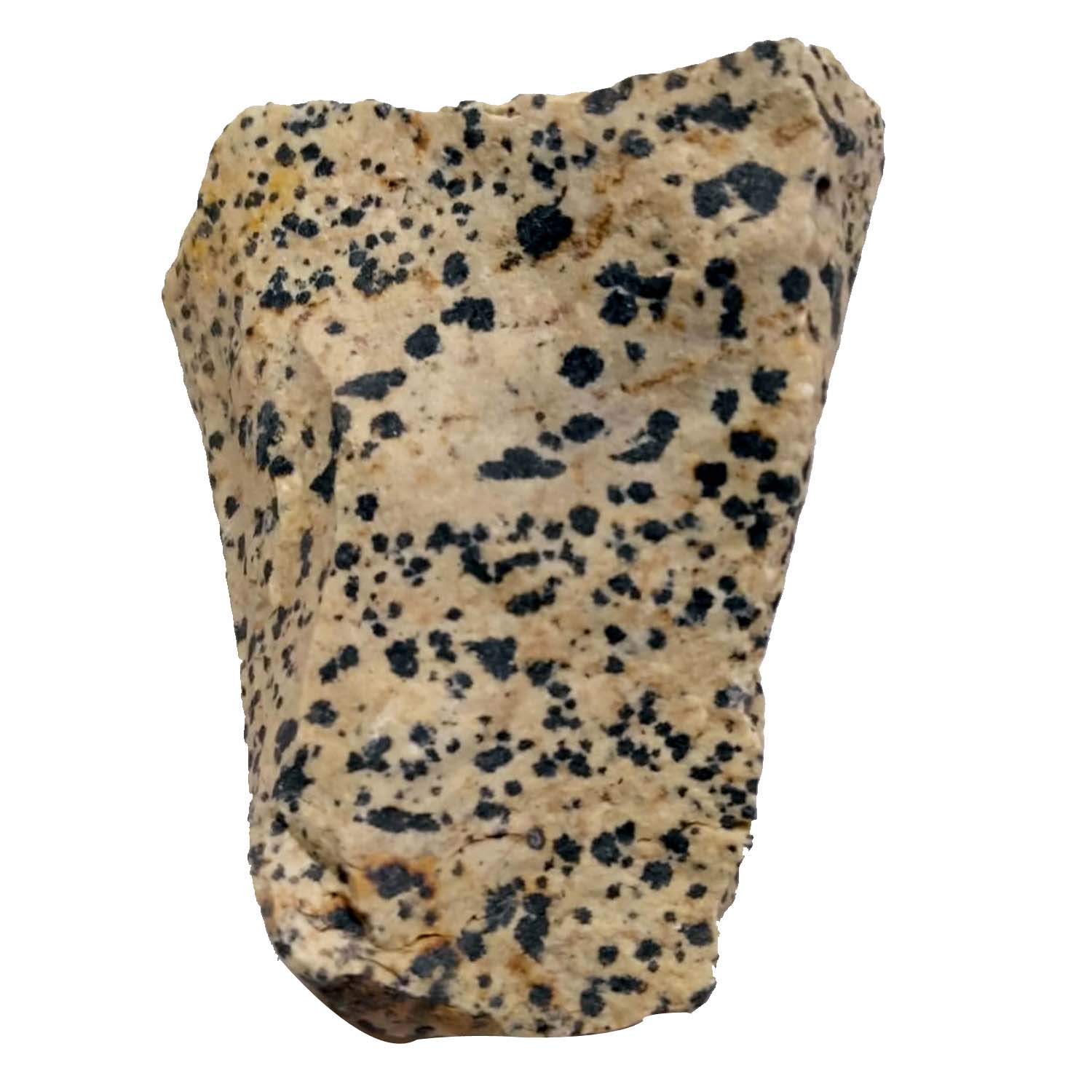 Aadhyathmik Kalsarp Yog Nag Dosh Rahu Ketu Dosh Nivaran Kalsarp Bhugarbha Tantrik Shila 3.5 Inch Remedy for Delay in Marriage and Childlessness - S9041-01