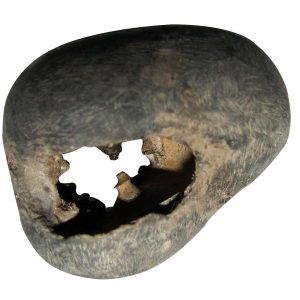 Laxmi Narasimha Natural Sacred Gandhaki Nadhi Nepal Salagram Shila - S918218