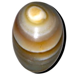 Netrikan Mukkanti Trilochana Rare Third Eye Formation Banaling Shivling 1.5 Inch - S960838-01