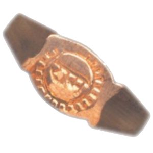 Aadhyathmik Rama Raksha Sarva Rakshana Koraku for All Kinds of Protection Small Size Suitable for Children - S9094-01