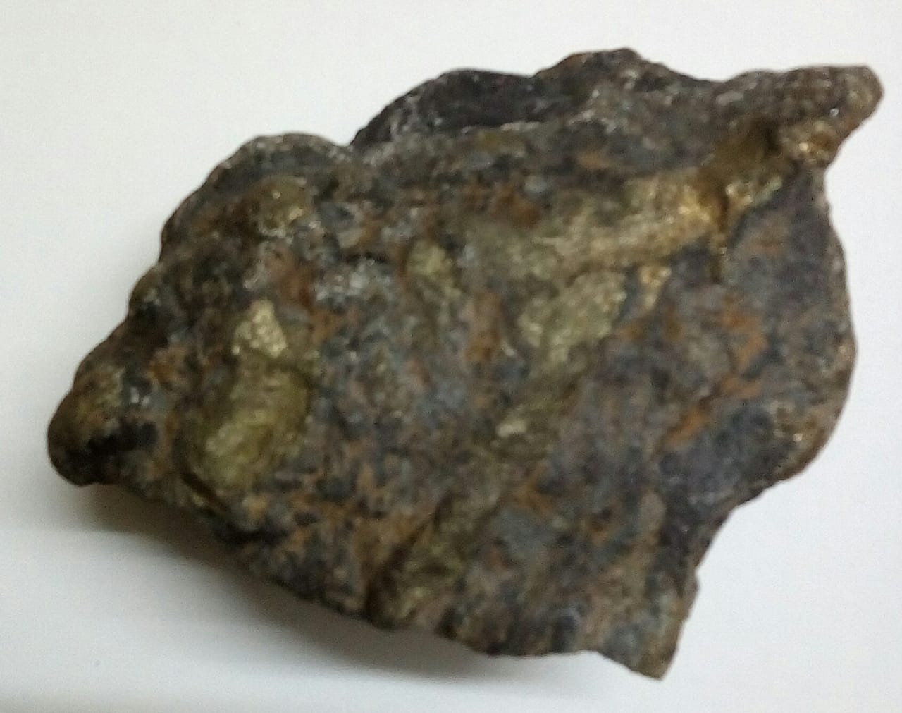 Swarnamukhi Shila Devi Shila Collected from Swarnamukhi River 6 Inch for Panchayatan Puja - S9040