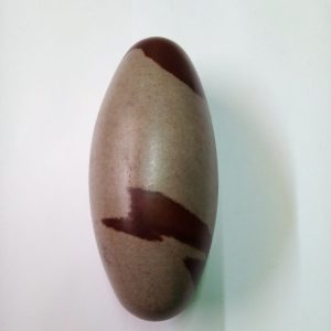 Narmadeeswar Narmada Lingam 5 Inch for Panchayatan Puja நார்மதீஸ்வர் நர்மதா பானலிங்கம் பஞ்சாயத்தன் பூஜைக்காக నర్మదీశ్వర నర్మద లింగం పంచాయతన పూజ కొరకు नरमदीश्वर नर्मदा बानालिंगम पंचायतन पूजा के लिए- S9059