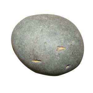 Srinivasa Govinda Salagram Shaligram Natural from Gandhaki Nadhi Nepal 1 Inch - S951248