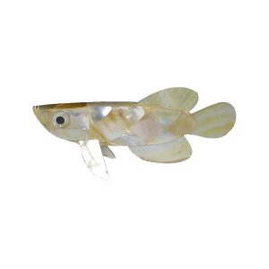 Vasthu Matsya Mop Powerful Vaasthu Remedy to Rectify Vastu Defects 8.5 Inch - S966708