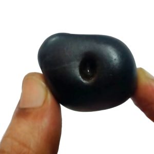 S9067-117 – Keshav Shaligram Aadhyathmik 100% Original Natural Sacred from Nepal Gandhaki Nadhi 1½inch 32grams