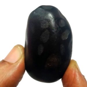 S9067-118 – Krishna Shaligram Aadhyathmik 100% Original Natural Sacred from Nepal Gandhaki Nadhi 1½inch 34grams