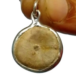 S9058-277 – Aadhyathmik Etti Seed Pendant Silver 1inch 3grams