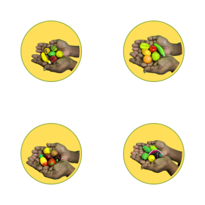 Miniature Fruits set | Terracotta miniature fruits set | Handcrafted Terracotta Fruits Decor Set | Show Case Items | 25 pieces miniature fruits set